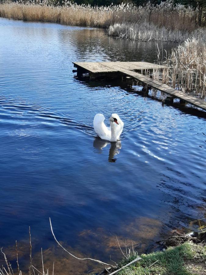 Вілла Domek Caloroczny Magjan Z Sauna Злотув Екстер'єр фото